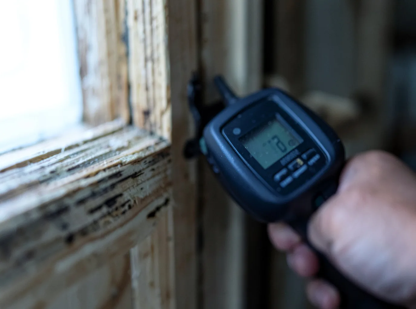 Moisture Inspection And Documentation in Ellsworth, MN